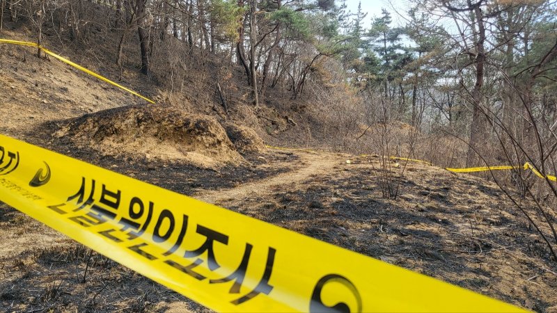 29일 경북 의성군 괴산리 야산. 최초발화지점에 산림당국의 출입 통제 라인이 설치돼 있다.2025.3.29/뉴스1 ⓒ News1 이성덕 기자