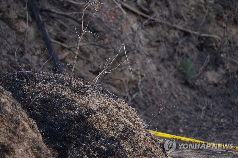 '경북 산불 발화 추정 지점…타버린 묘지' (출처=연합뉴스)