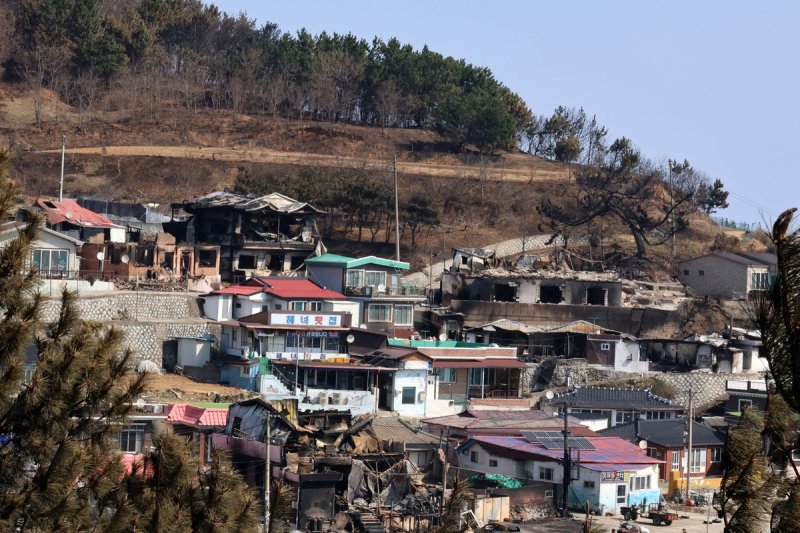 산불에 피해를 본 영덕군 영덕읍 노물리 (출처=연합뉴스)