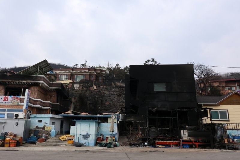 산불에 탄 영덕군 축산면 경정3리 식당 (출처=연합뉴스)