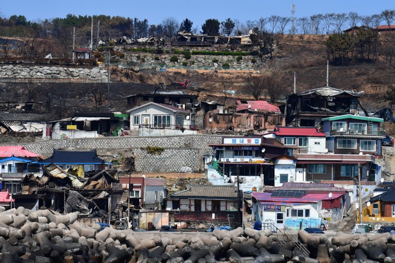 29일 경북 영덕군 영덕읍 노물리 해안 마을 곳곳이 산불 피해로 인해 새까맣게 그을려 있다. 노물리 해안 마을은 지난 22일 의성군에서 시작된 산불이 25일 강풍을 타고 확산되면서 피해가 발생했다. 2025.3.29/뉴스1 ⓒ News1 최창호 기자