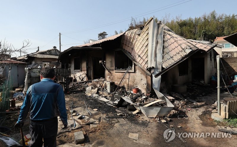 산불이 지나간 자리 (출처=연합뉴스)