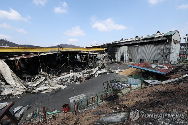 '처참하게 변한 안동 남후농공단지' (출처=연합뉴스)