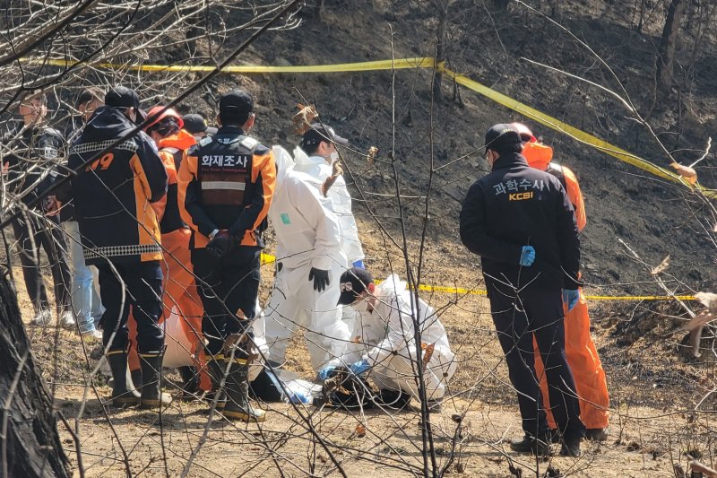 [의성=뉴시스] 이상제 기자 = 31일 경북 대형산불 최초 발화 추정 지점인 의성군 괴산리 야산에서 국립과학수사연구원, 소방당국, 경찰 등이 합동 감식을 하고 있다. 202503.31. king@newsis.com