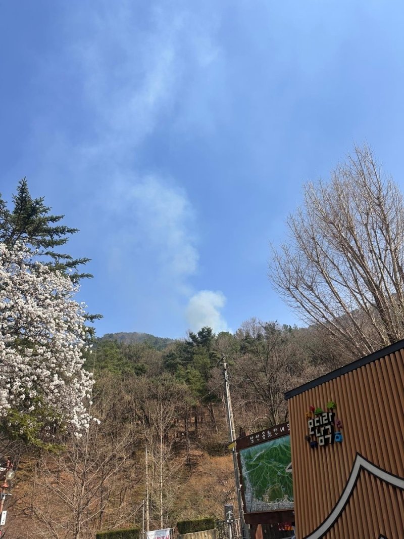 대구 앞산 산불 (출처=연합뉴스)