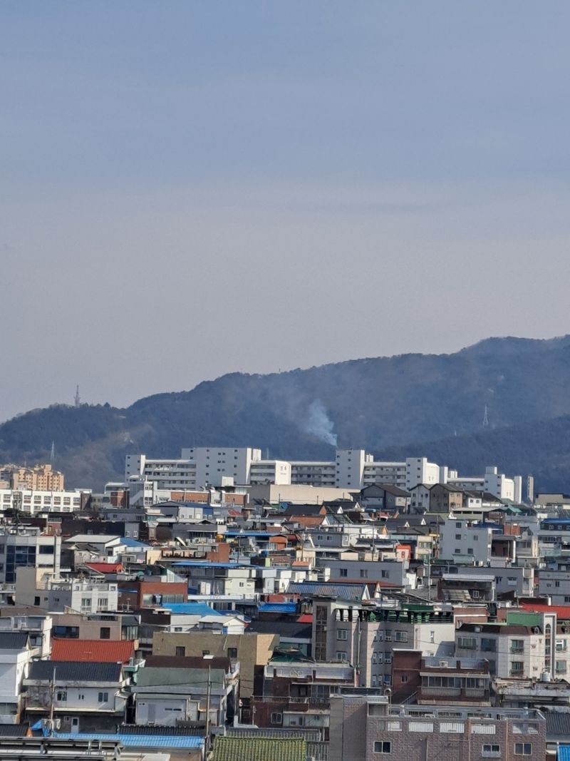 대구 앞산 은적사 인근 불…주불 진화, 잔불 정리 중(종합)