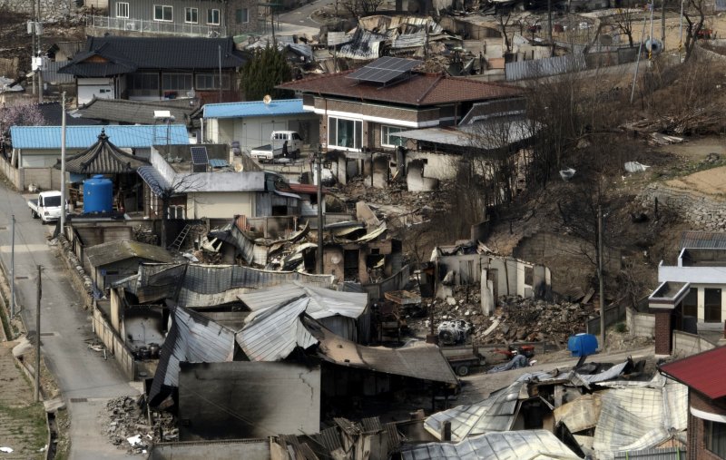 [안동=뉴시스] 이무열 기자 = 29일 경북 안동시 임하면 추목리 마을이 산불로 전소돼 폐허가 되어 있다. 2025.03.29. lmy@newsis.com