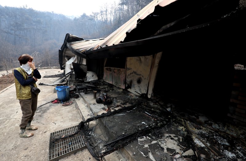 [영양=뉴시스] 이무열 기자 = 27일 경북 영양군 석보면 화매리에서 한 주민이 산불에 전소된 집 마당에서 망연자실하고 있다. 2025.03.27. lmy@newsis.com