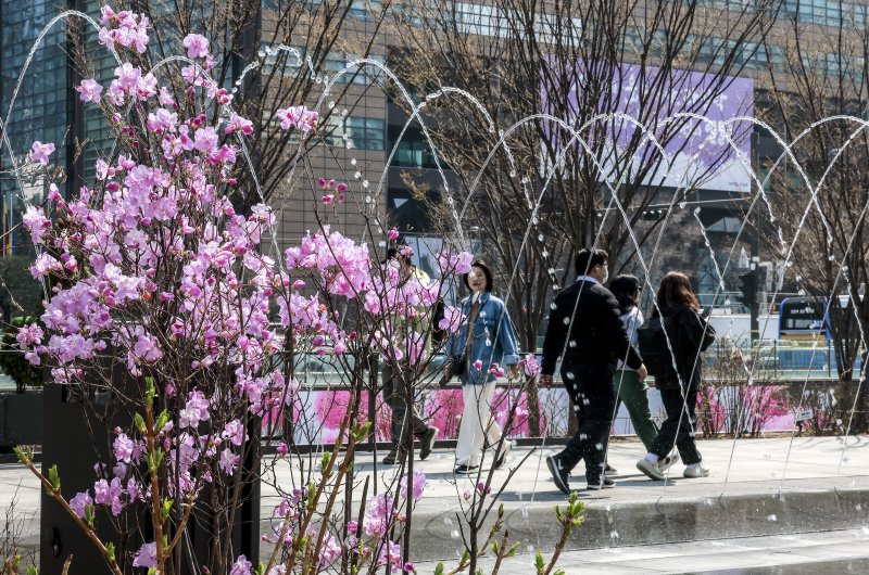 [서울=뉴시스] 정병혁 기자 = 광화문광장 분수가 가동을 시작한 가운데 1일 활짝 핀 봄꽃 옆으로 분수가 나오고 있다. 2025.04.01. jhope@newsis.com
