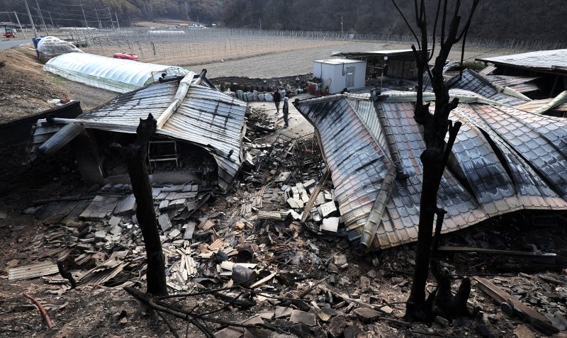 [안동=뉴시스] 이무열 기자 = 30일 경북 안동시 임하면 추목리에서 산불 피해 주민들이 전소된 집을 살펴보고 있다. 2025.03.30. lmy@newsis.com