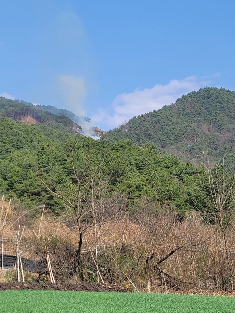 거창 산불 현장(산림청 제공. 재판매 및 DB금지). 2025.4.1