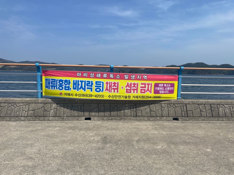 [거제=뉴시스] 신정철 기자= 거제시는 하청·장목면 일원에서 기준치를 초과한 마비성 패류독소가 검출됨에 따라 지난 24일자로 패류 채취 금지와 섭취 주의를 당부했다.사진은 패류 채취 금지와 섭취 주의 안내 현수막.(사진=거제시 제공).2025.03.25. photo@newsis.com *재판매 및 DB 금지
