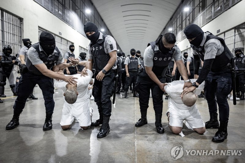 지난 16일 갱 단원이라는 이유로 엘살바도르 테러범수용센터(CECOT)에 수감된 사람들 (출처=연합뉴스)