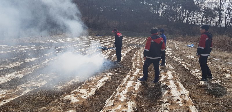 [원주=뉴시스] 영농 부산물 소각 행위를 단속하는 산림당국. (사진=뉴시스 DB). photo@newsis.com *재판매 및 DB 금지