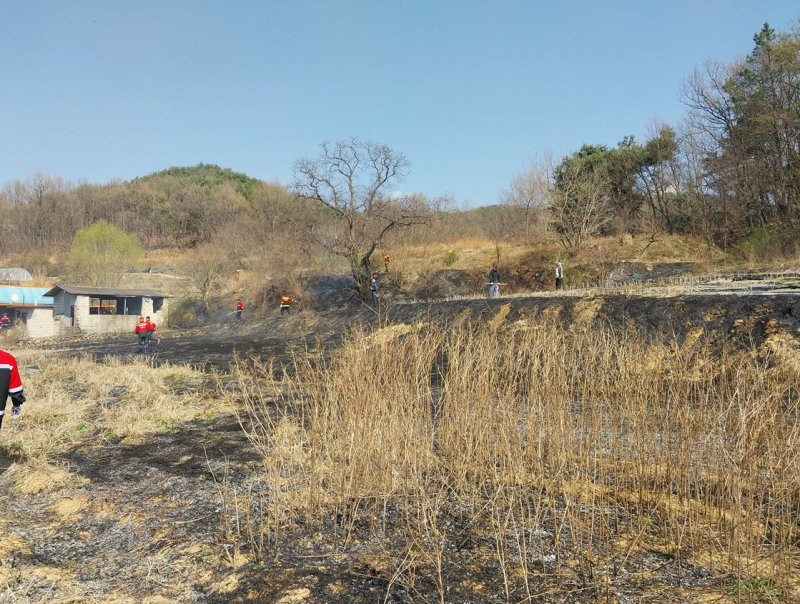 [예천=뉴시스] 예천군 풍양면 풍신리 주택 인근 밭이 불에 타 있다. 2025.04.02. (사진=경북소방본부 제공) photo@newsis.com *재판매 및 DB 금지
