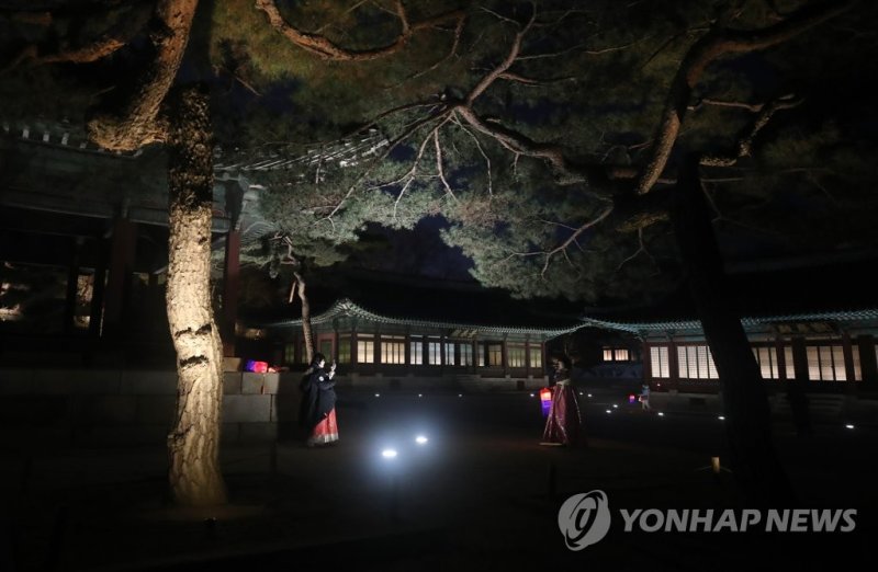 창경궁 야간 관람 (출처=연합뉴스)