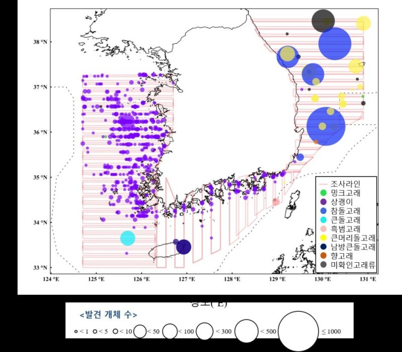 수과원 조사 결과 고래 분포도(수과원 제공.재판매 및 DB 금지)
