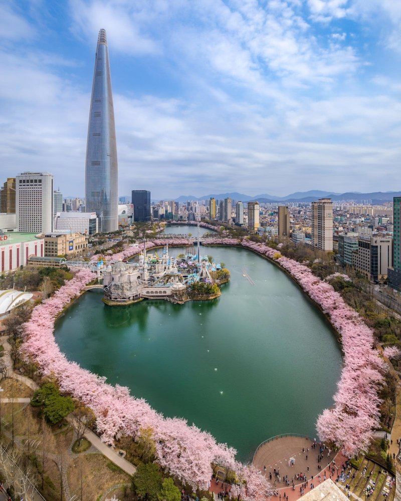 벚꽃 명소로 사랑받는 롯데월드타워와 석촌호수 (출처=연합뉴스)