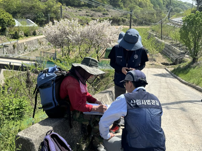 [안동=뉴시스] 산림 내 불법행위를 단속하고 있다. 2025.04.02. (사진=남부지방산림청 제공) photo@newsis.com *재판매 및 DB 금지