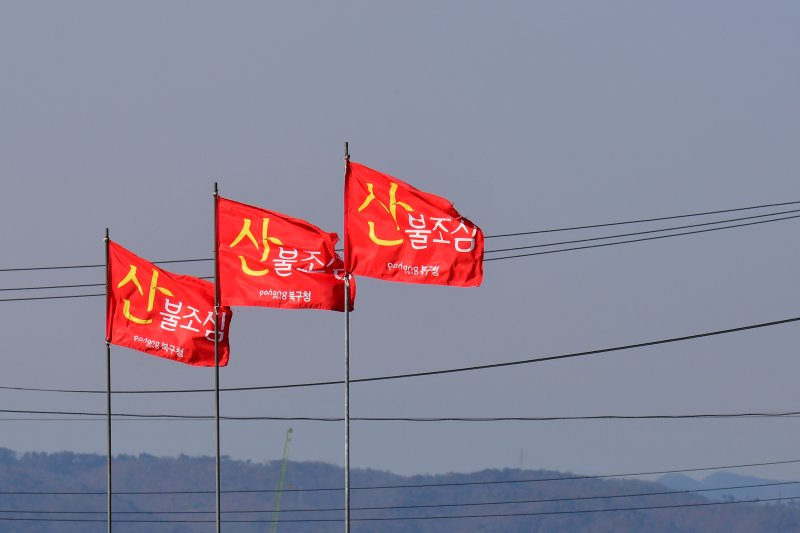 기사 이해를 돕기 위한 자료 사진으로, 기사 내용과 직접 관련 없음. (뉴스1DB)