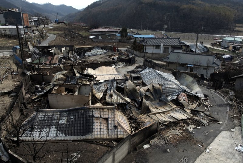 [안동=뉴시스] 이무열 기자 = 29일 경북 안동시 임하면 추목리 마을이 산불로 전소돼 폐허가 되어 있다. 2025.03.29. lmy@newsis.com