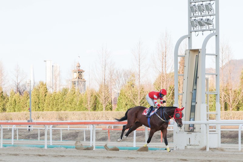 한국마사회 렛츠런파크 서울 9경주에서 문세영 기수 2000승을 달성했다.(렛츠런파크 부산경남 제공. 재판매 및 DB 금지)