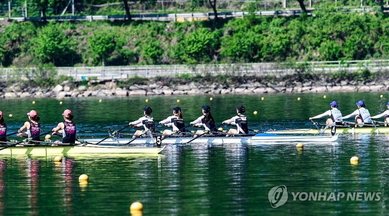 전국조정대회 (출처=연합뉴스)