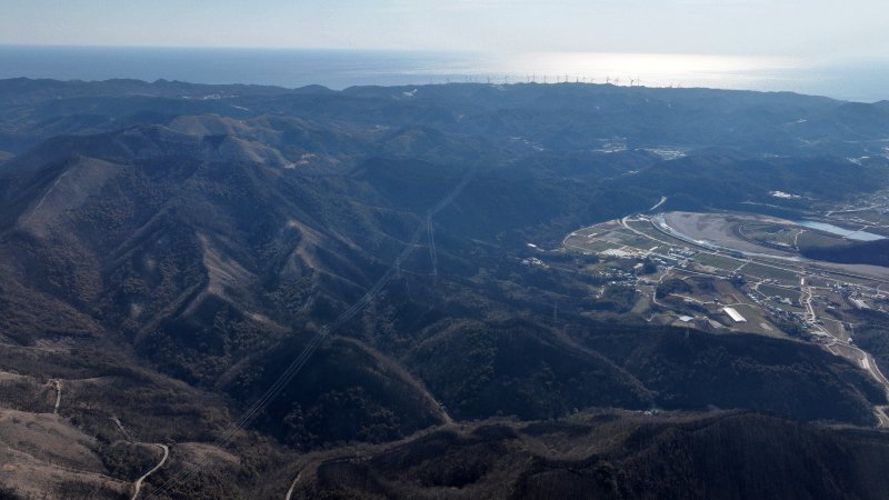 지난 29일 산불 피해 지역인 경북 영덕군 일대 산들이 까맣게 타 있다. 2025.3.31/뉴스1 ⓒ News1 최창호 기자