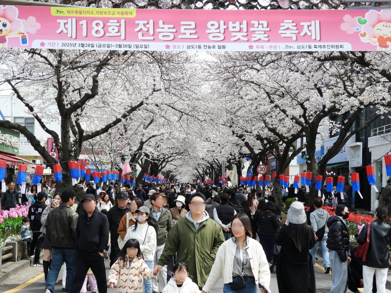 '제18회 전농로 왕벚꽃 축제' 마지막 날인 30일 오후 제주시 삼도1동 전농로 일대가 상춘객들로 북적이고 있다. 2025.3.30/뉴스1 ⓒ News1 오미란 기자