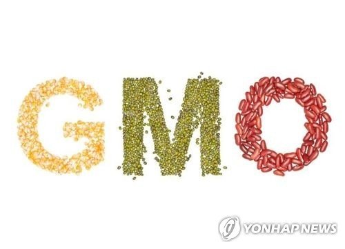 GMO (출처=연합뉴스)