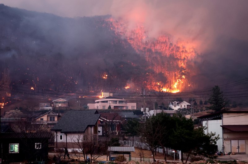 [안동=뉴시스] 이무열 기자 = 경북 의성군 산불 발생 나흘째인 25일 산불이 안동시 남후면 광음리 마을 인근까지 번지고 있다. 2025.03.25. lmy@newsis.com