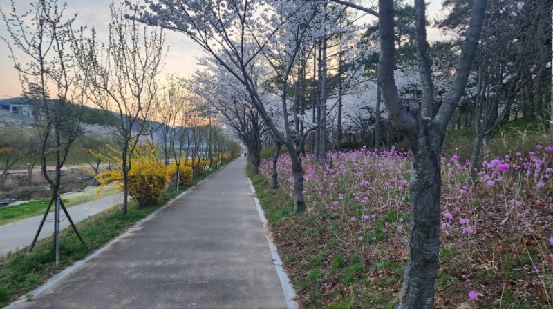 좌광천 일원이 다양한 꽃들로 물들며 아름다운 봄 풍경을 연출하고 있다,(기장군청 제공. 재판매 및 DB 금지)