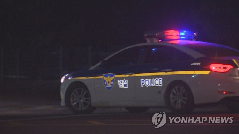 순찰차 (출처=연합뉴스)