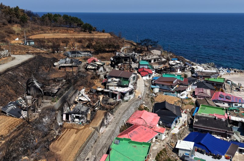 [영덕=뉴시스] 이무열 기자 = 1일 경북 영덕군 영덕읍 노물리 마을이 산불로 전소돼 폐허가 되어 있다. 2025.04.01. lmy@newsis.com