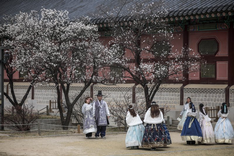 [서울=뉴시스] 정병혁 기자 = 포근한 날씨를 보인 2일 서울 종로구 경복궁을 찾은 관광객들이 벚꽃 아래서 사진을 찍고 있다. 2025.04.02. jhope@newsis.com