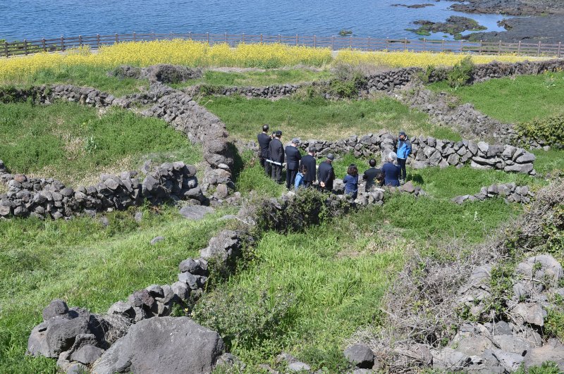 4·3 당시 초토화돼 터만 남은 제주시 화북1동 곤을동 마을터.(자료사진) ⓒ News1