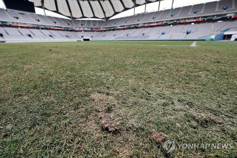 고르지 못한 잔디 (출처=연합뉴스)