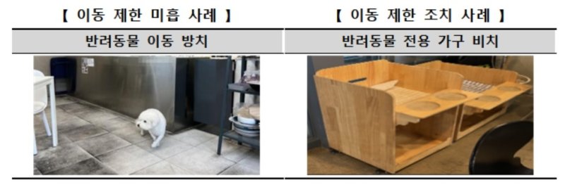 반려동물 동반 허용 음식점 늘었지만…위생 관리는 '미흡' (출처=연합뉴스)