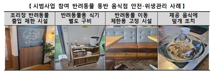 (한국소비자원 제공)