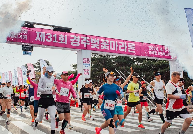 제31회 경주 벚꽃마라톤대회