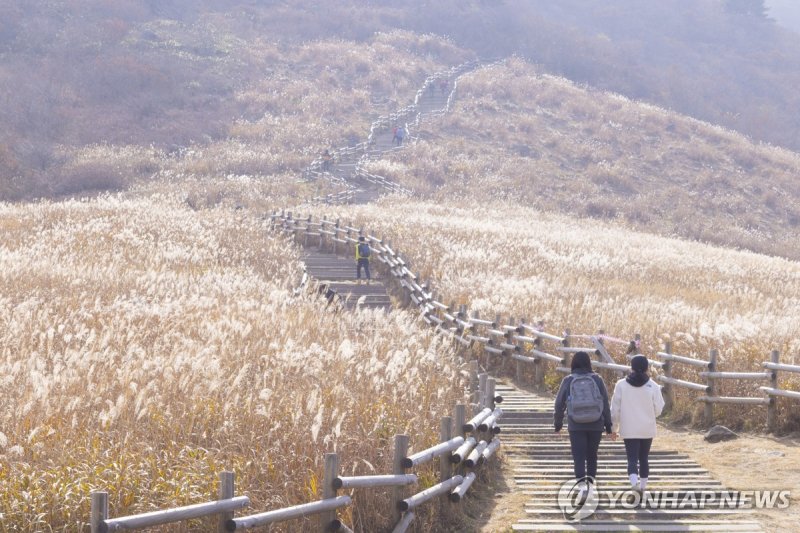 울산 영남알프스 (출처=연합뉴스)