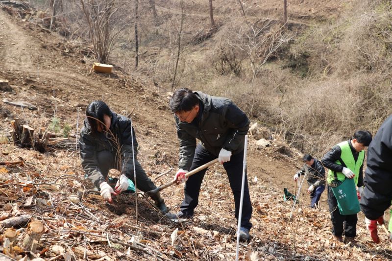 이임영 한국치산기술협회 회장직무대행자(가운데)가 3일 충북 괴산 문광면 옥성리 일원에서 진행된 식목일 나무심기 행사에서 묘목을 심고 있다.