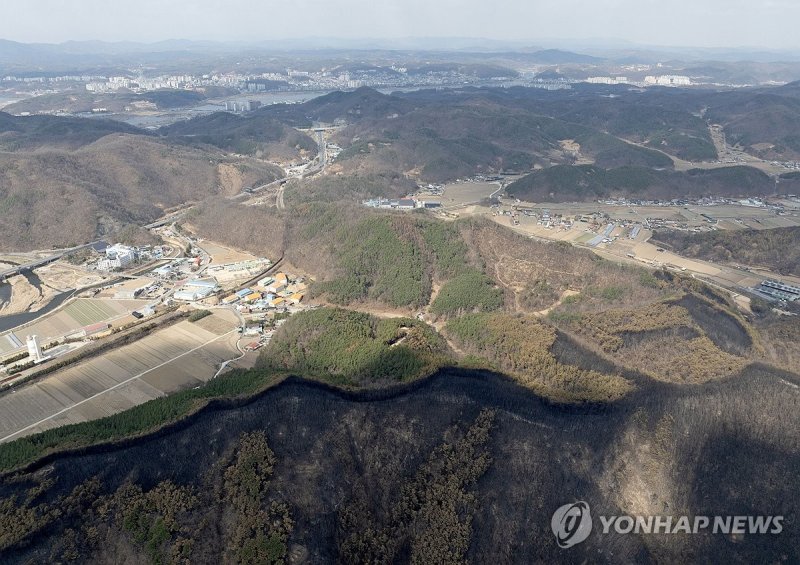 산불이 멈춘 자리 (출처=연합뉴스)