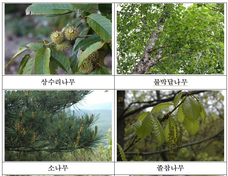 [서울=뉴시스]