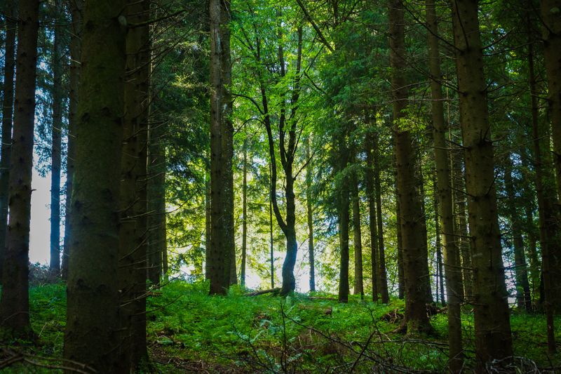 50·60대 은퇴족에 인기… '이것'만 있으면 취업 프리패스