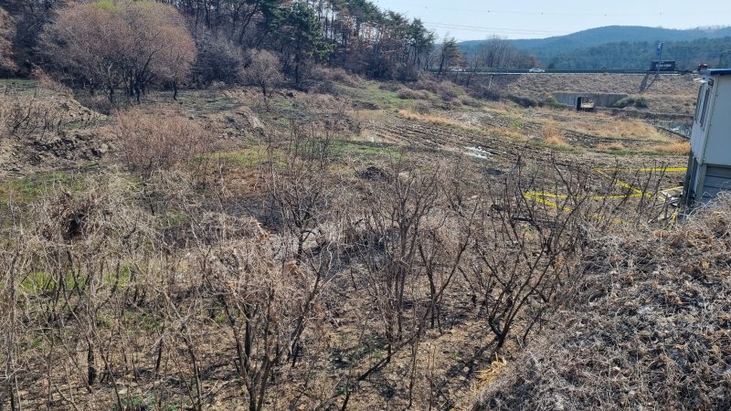 [울산=뉴시스] 박수지 기자 = 4일 오전 울산 울주군 온양읍 운화리 대운산에서 관계기관이 산불 원인 추정을 위해 현장 합동감식을 진행 중인 가운데 발화 지점 인근 산림이 그을려져 있다. 2025.04.04. photo@newsis.com