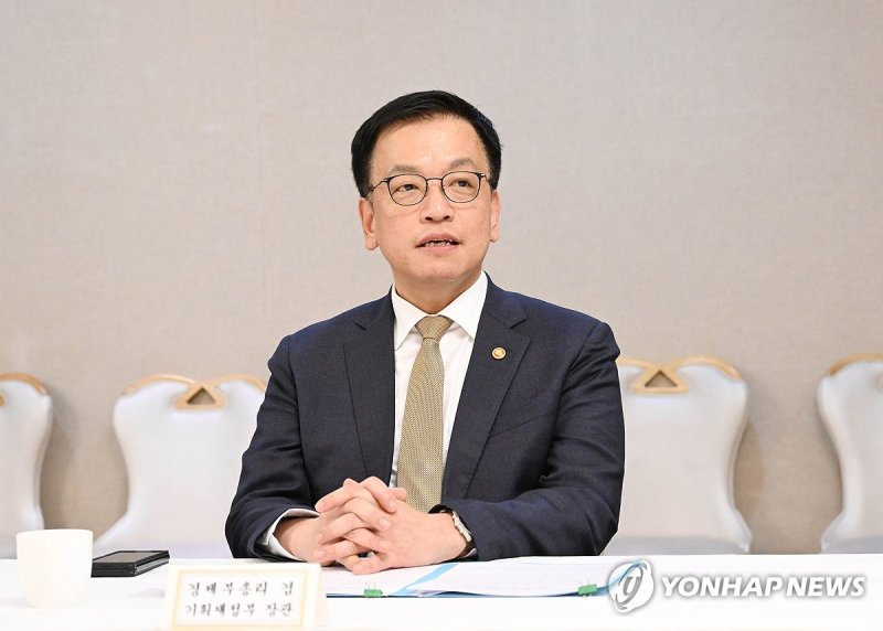 최상목 ″통상리스크 등 대응 필수추경 위해 국회와 긴밀 소통″