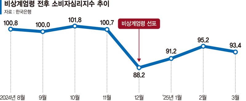 '내수 회복' 장밋빛 전망 솔솔… 계엄 후 닫혔던 지갑 열릴까