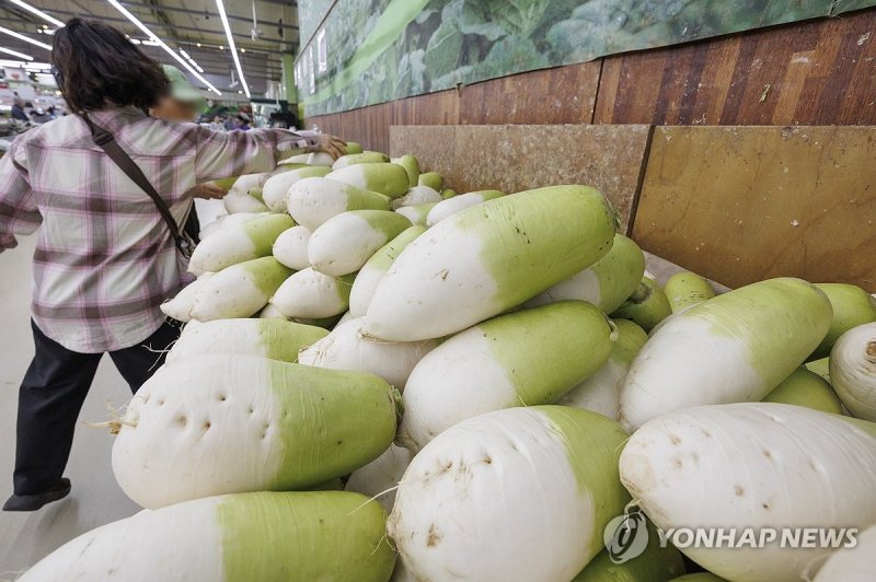 3월 물가 2.1% 상승, 무 가격 오름폭 커 (출처=연합뉴스)