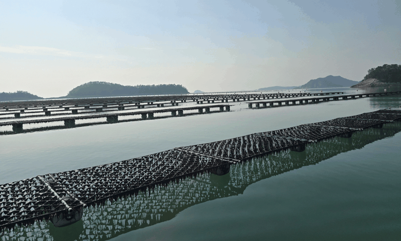 '지속 가능한 수산업 발전'...전남도, 올해 572억원 들여 친환경 양식산업 육성